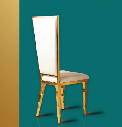 Rayka model chair